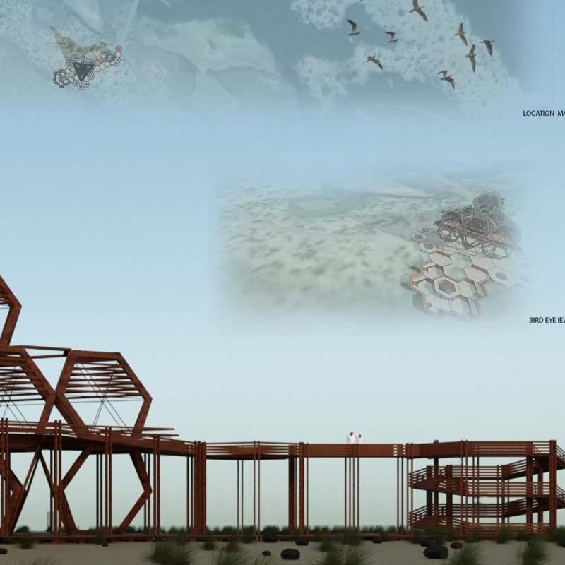 Hexagonal Timber Structure Enhancing Birdwatching Through Thoughtful Accessibility