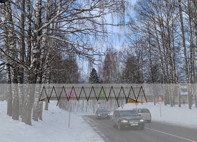 Hollow Trees and Decay Habitats in a Forested Wildlife Corridor