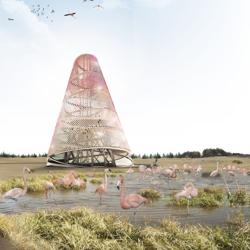 An Iridescent Observation Tower for Wetland Wildlife Viewing
