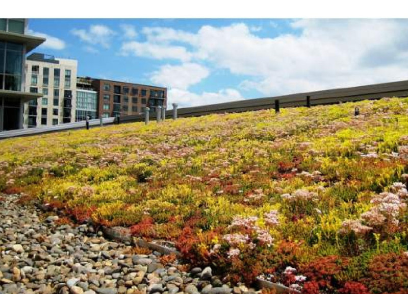 Sedum Roofs and Timber Huts Creating a Retreat for Writers
