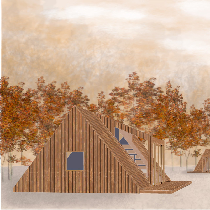 Timber Huts Embracing Nature with Thoughtful Pathways and Community Space