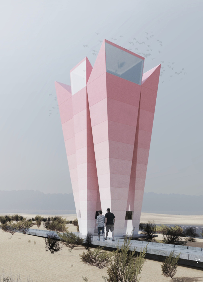 Cement Board and Light Gauge Structure Overlooking Wathba Wetland
