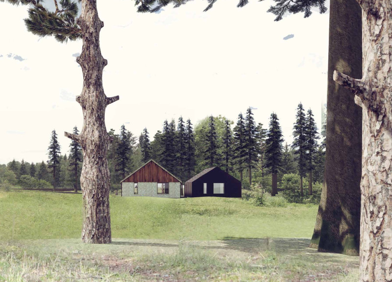 Timber-Infused Spaces with Integrated Rainwater Solutions