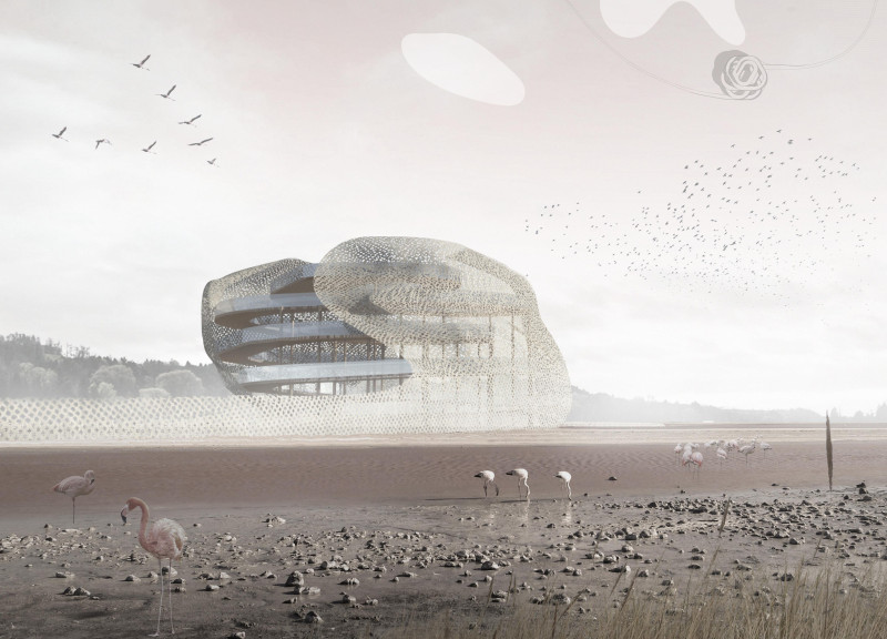 Timber Façade Offering Uninterrupted Views in a Nature Reserve