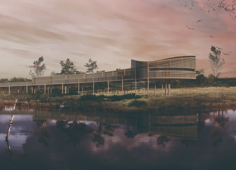 Fallen Wooden Form with Natural Palm Canopy for Bird Observation