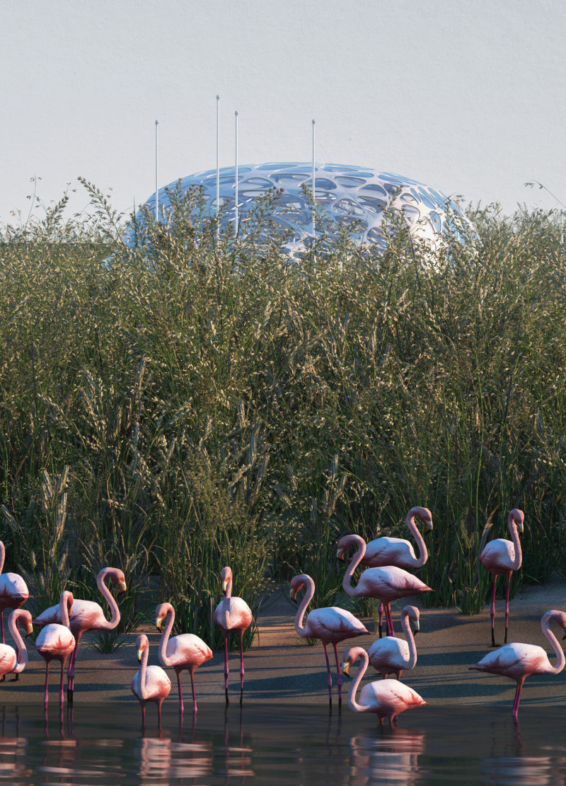 Inflatable Observation Tower with Photovoltaic Integration in Wetland Habitat