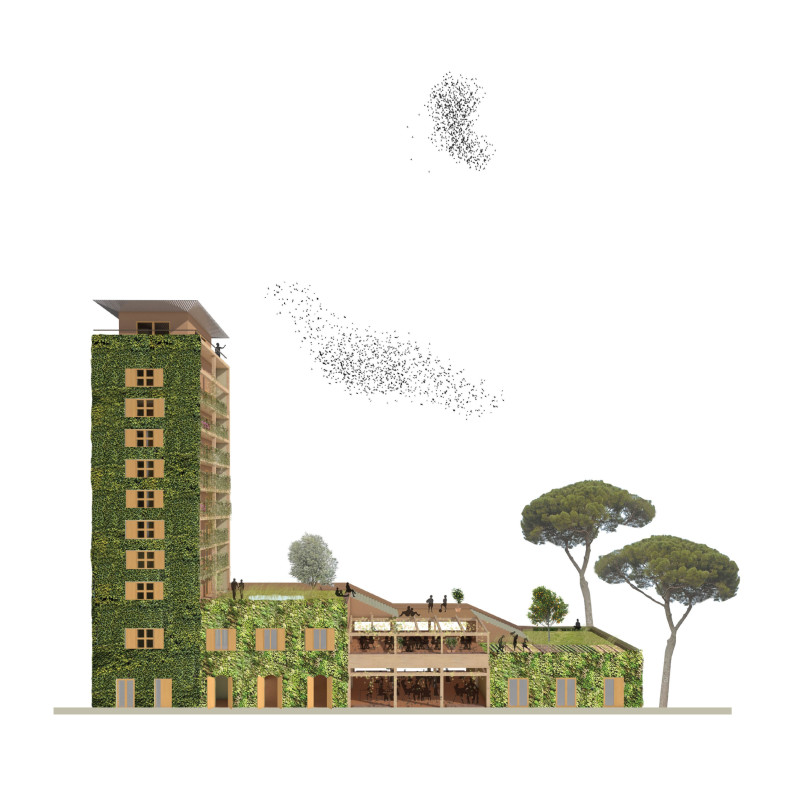 Rooftop Garden and Greywater Recycling in CLT Community Living