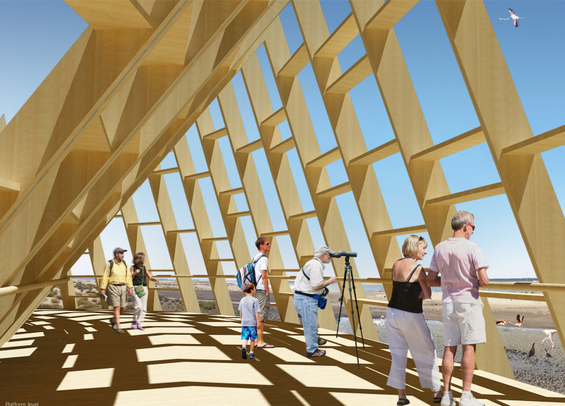 Teak and Steel Observation Tower Integrating Pathways with Desert Landscape