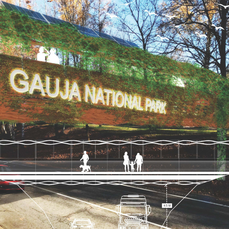 Reclaimed Wood Footbridge Embracing Natural Light and Biodiversity