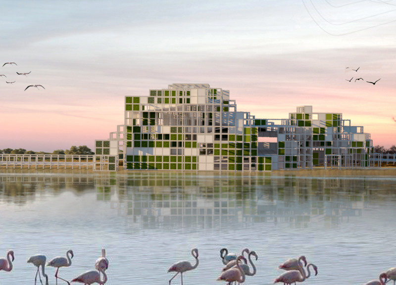 Cylindrical Forms and White Wood Slabs Creating a Viewpoint for Nature Observations