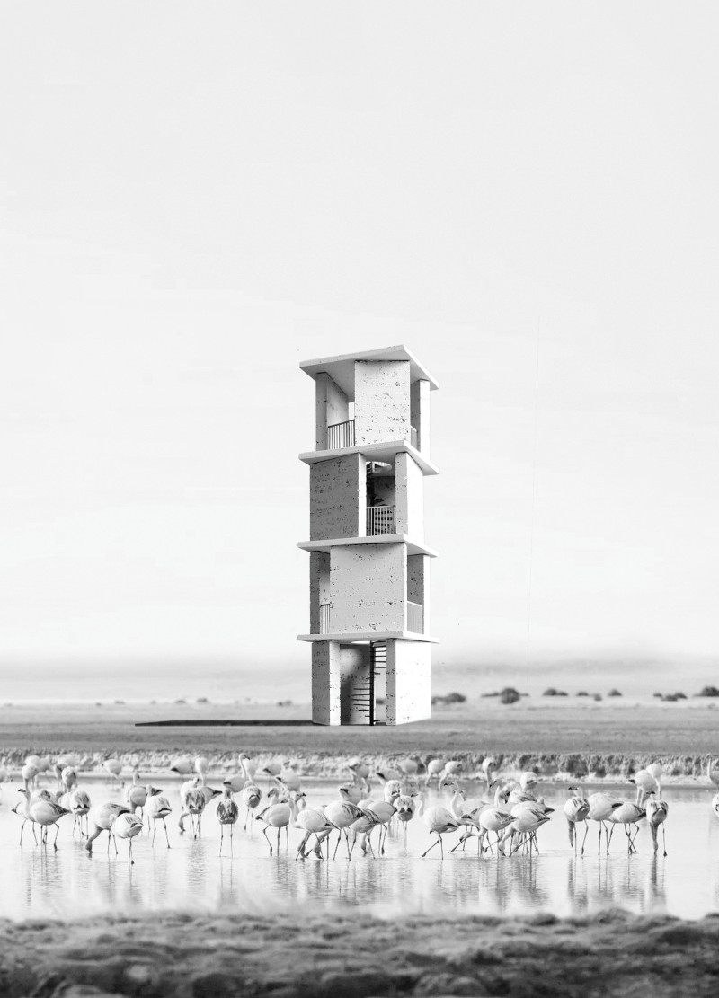 Rammed Earth Walls Framing Nature Views in a Wetland Observation Tower