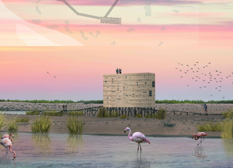 A Minimal-Disturbance Observation Tower Integrating Lenses in Wetland Habitat