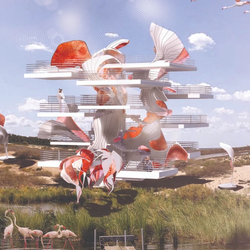 Suspended Shells and White Surfaces Enhance Observation of Migrating Flamingos