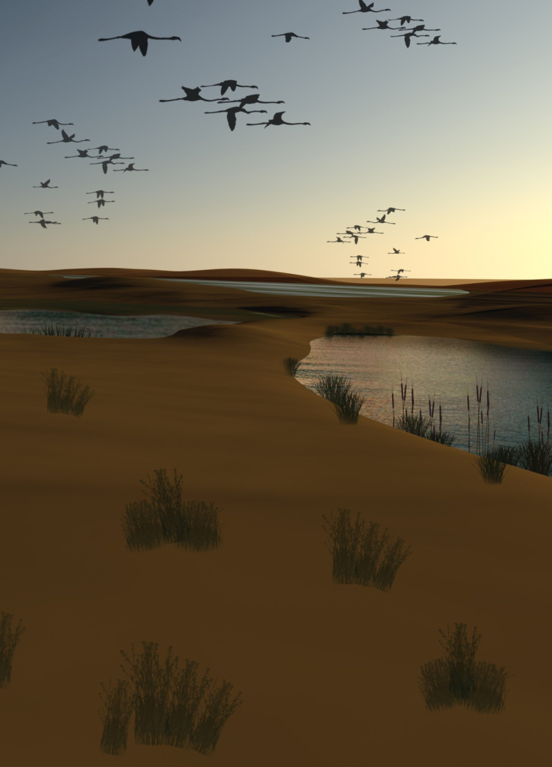 Elevated Bamboo Structure Overlooking Desert Wetlands