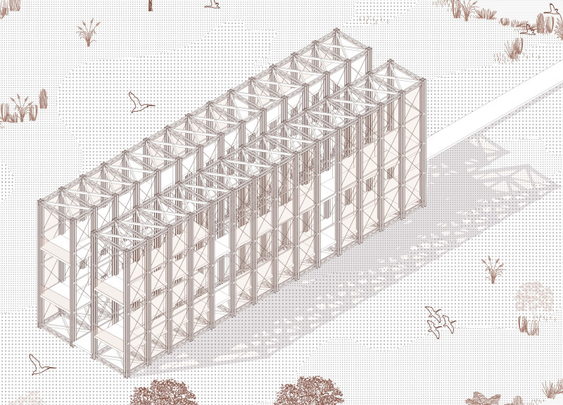 Gradual Ascent Through Wooden Surfaces Supported by Hexagonal Mesh