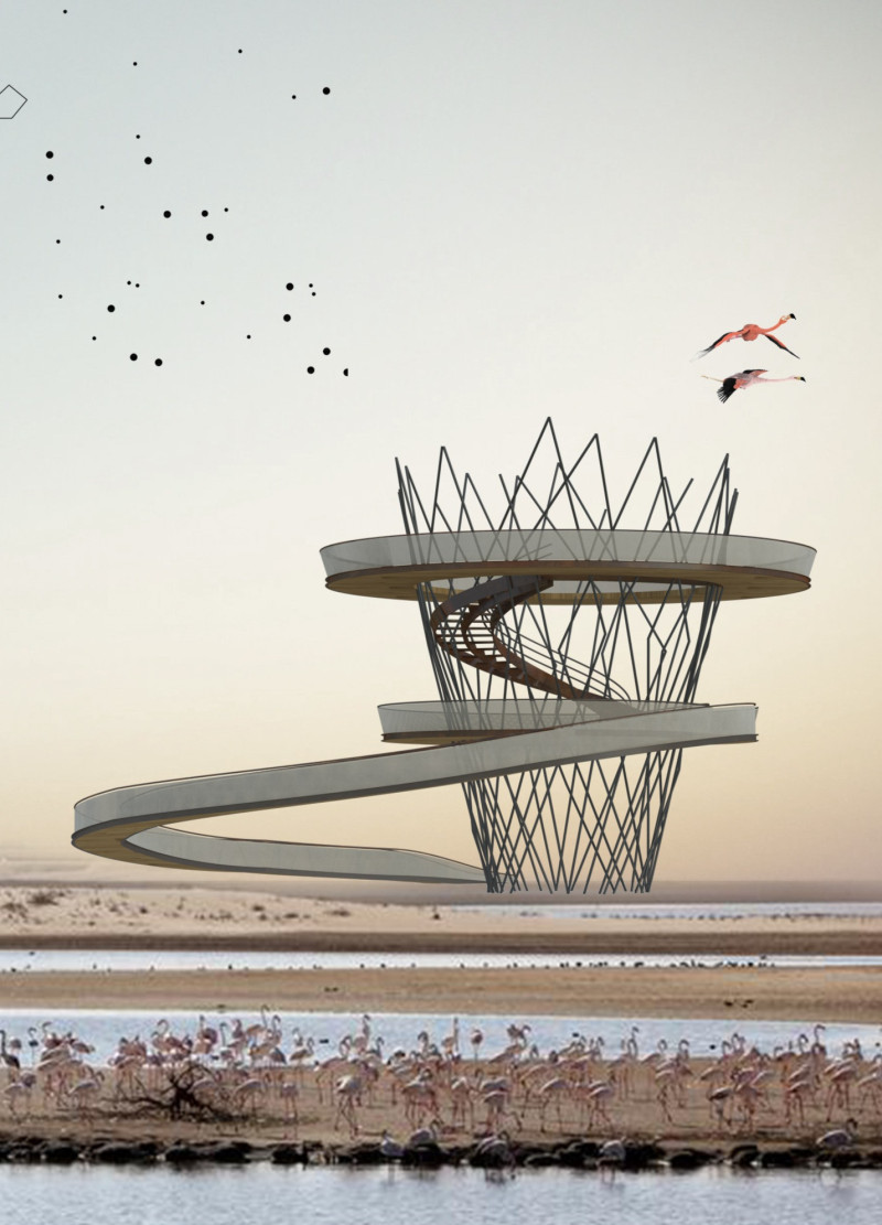 Metal Pipes and Ramps Elevate Wildlife Observation in Natural Habitat