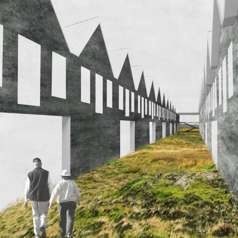 Natural Pathways and Cold Grey Titanium Zinc in a Community-Centric Space