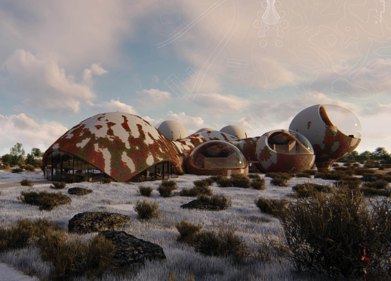 Black Lava Sand Structure with Plant Epidermis in a Thermal Waters Retreat