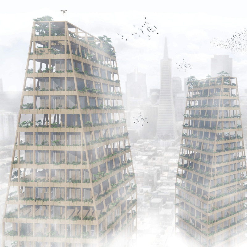 Vertical Circulation and Community Spaces Enhanced by Cross Laminated Timber