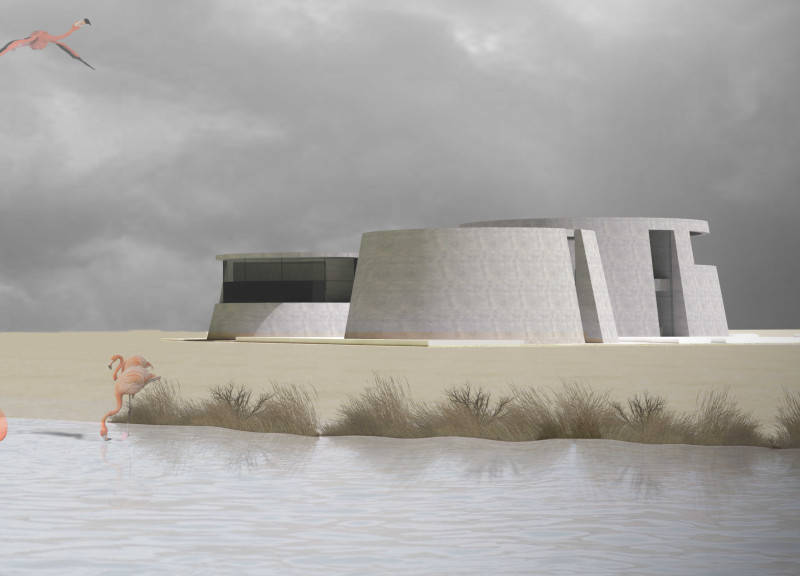 Nest-Inspired Center Highlighting Community Interaction in Ecological Wetland