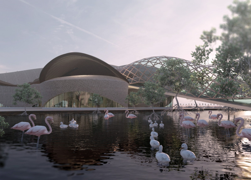 Reed Canopy Embracing Visitors Within a Wetland Habitat