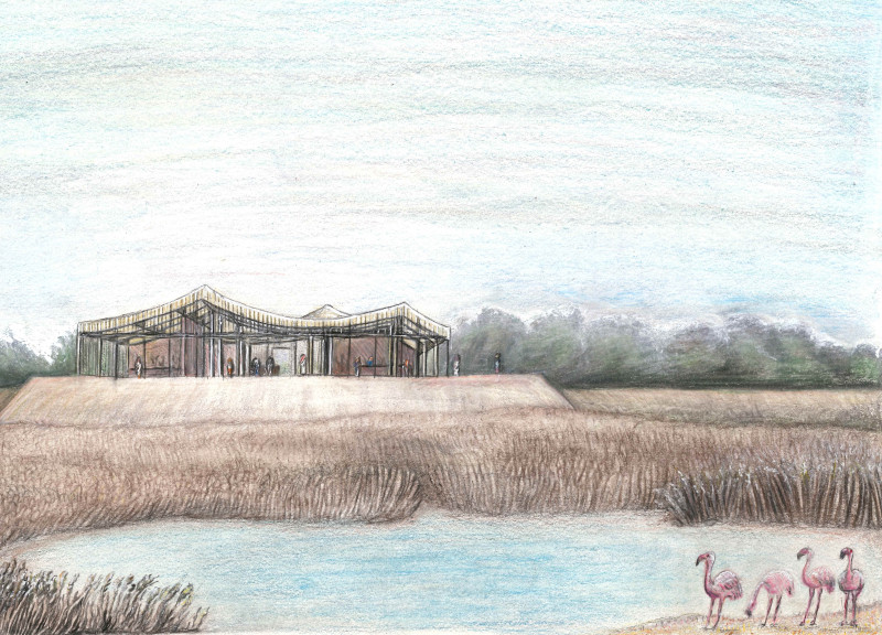 Palm Slats and Earth Tones Enhancing Ecological Education Center