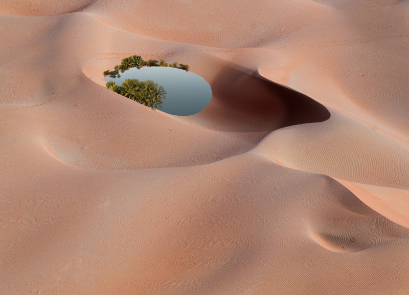 Curved Design with Biodegradable Wood in Desert Lodges