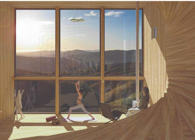 Glulam Cabins Embracing Forest Bathing and Natural Light