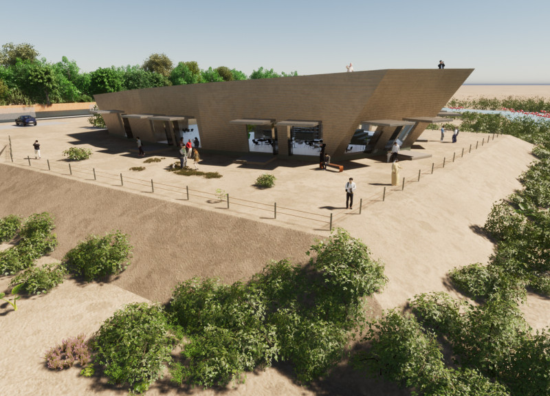 Cross-Laminated Timber Structure Inspired by Wetland Exploration