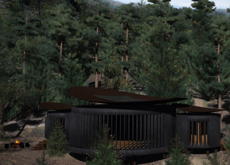 Eucalyptus Canopy over Cork Oak Retreat for Mindful Practices