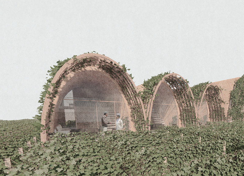 Roman Brick Pavilion Integrated with Vineyards for Wine Experience