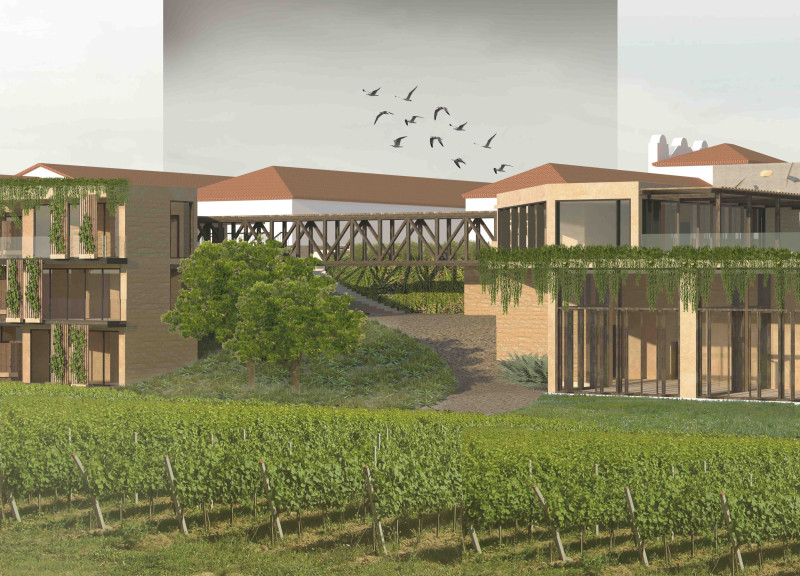 Elevated Terraces Overlooking Vineyards in a Community-Focused Wellness Center
