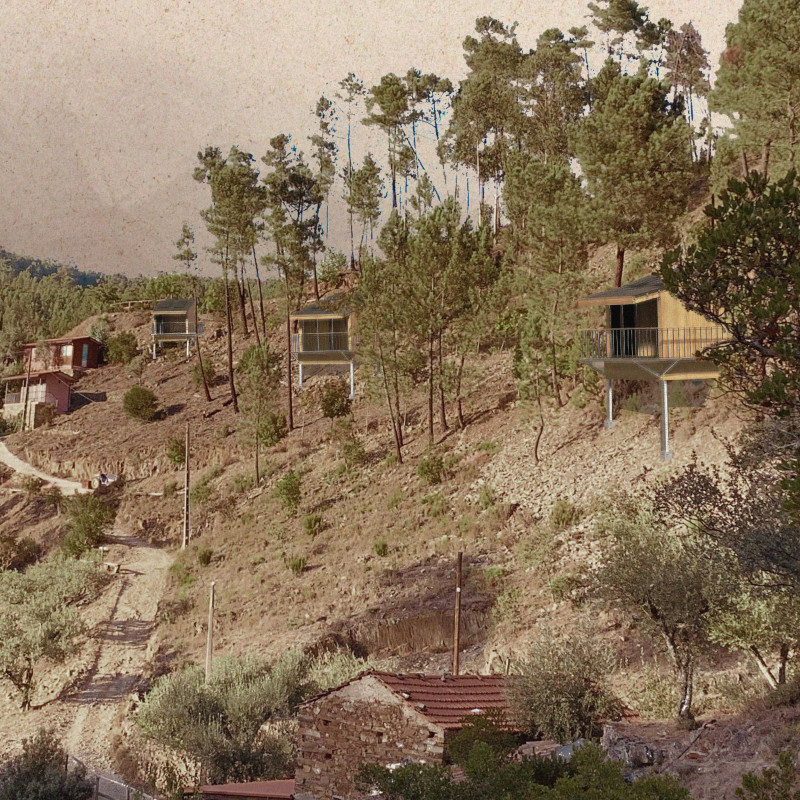 Elevated Retreat with Local Oak and Greywater Sustainability