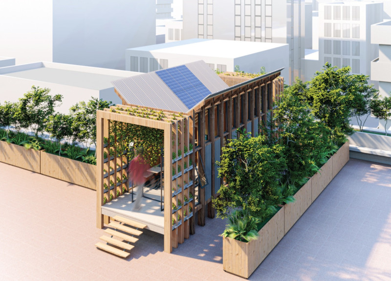 Vertical Gardens and Hydroponic Solutions in Compact Rooftop Living