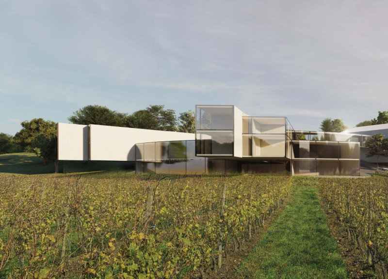 Central Focal Point Emphasizing Vineyard Views and Linear Forms