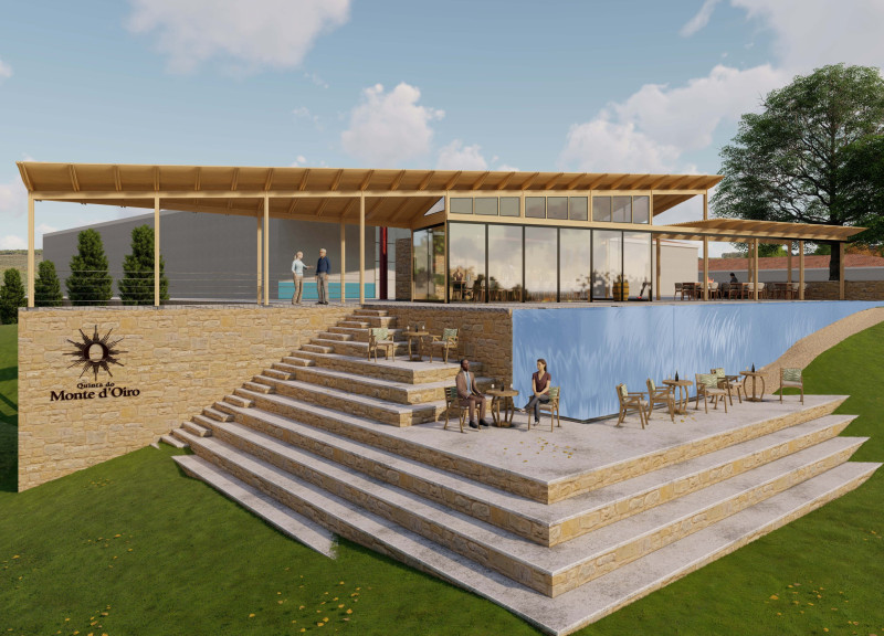 Geothermal Reflecting Pool with Glass Panels and Wood Trellis in a Vineyard Tasting Space