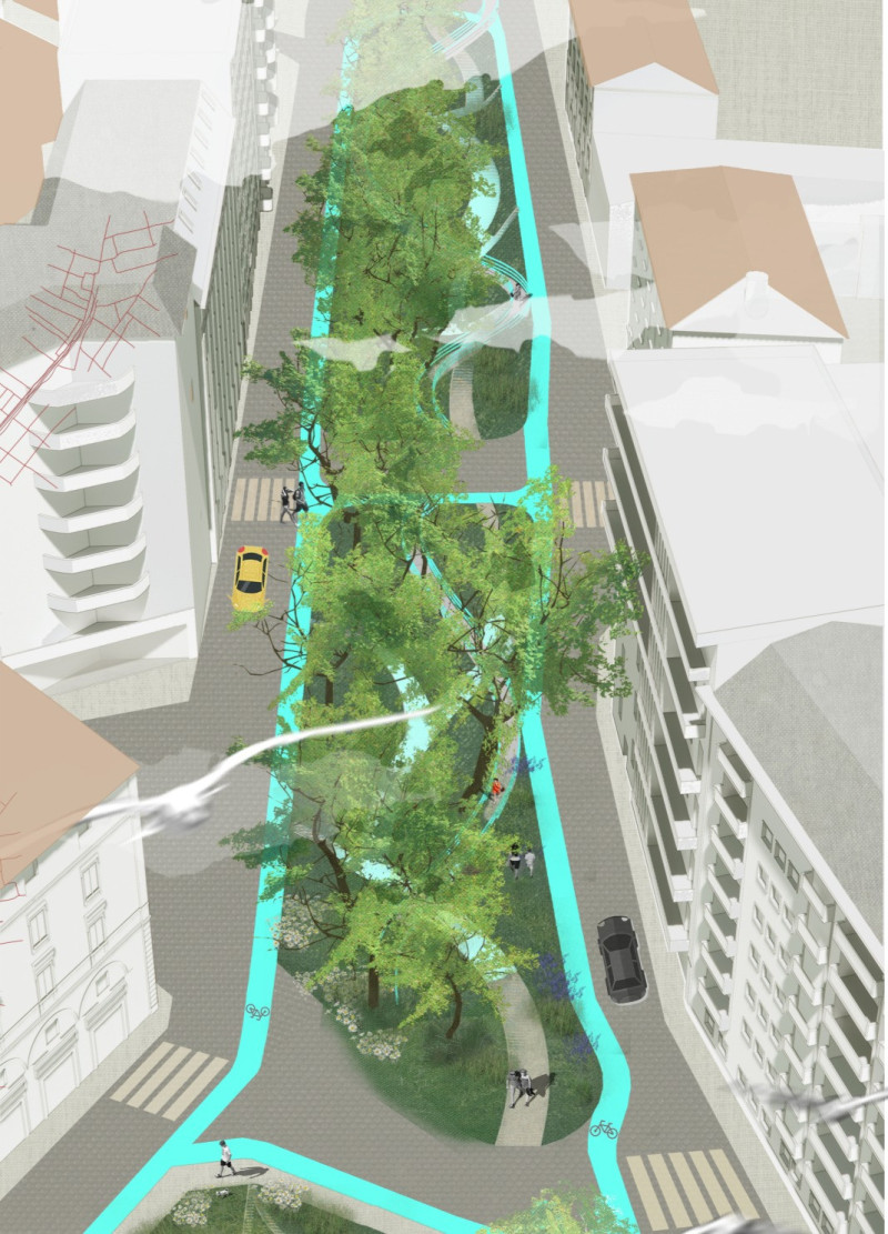 Ecological Canals and Community Paths Shaping Urban Connectivity