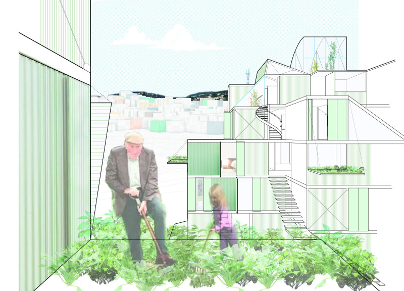 Steel Framework Supporting Community Gardens in Sustainable Urban Living