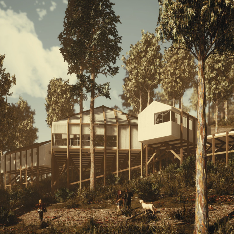 Cork Cladding and Sliding Windows in a Nature-Inspired Yoga Studio