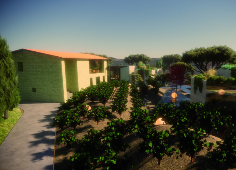 Living Rooftops with Green Plaster and Cream Facades in a Vineyard Setting