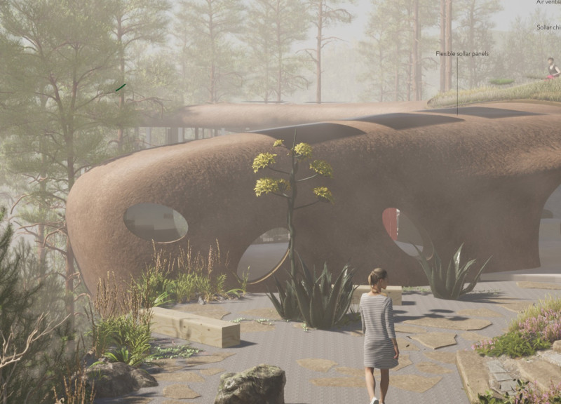 Cork Flooring and Soil Plaster Embrace a Central Zen Garden for Mindful Living