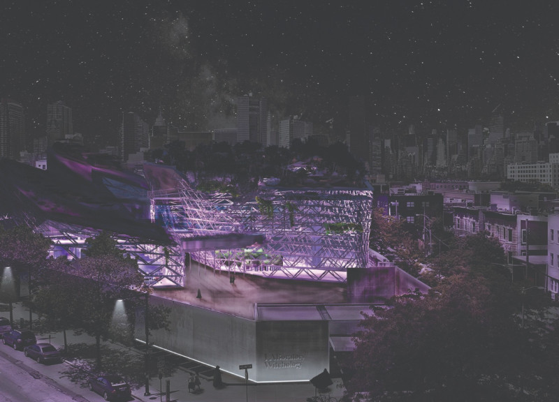 Exploration of Healing Spaces Through Herb-Focused Zones