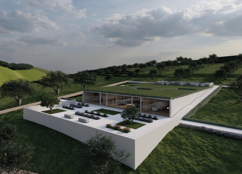 Natural Light and Emotional Support in a Wood-Centric Healing Environment