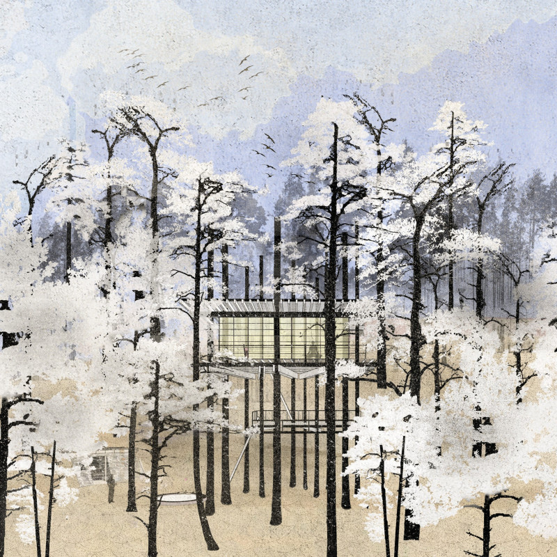 Water Collection Structure Elevated Among Pine Trees