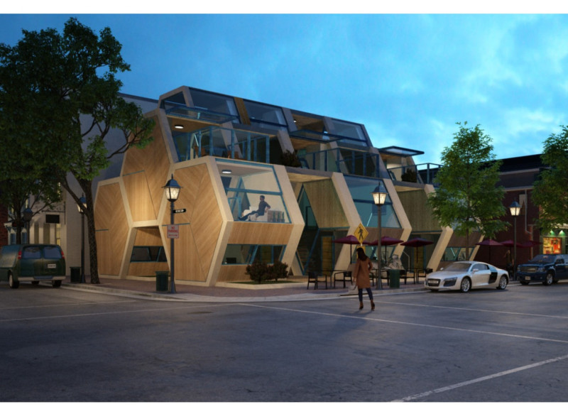 Hexagonal Living Units with Wood Frame Construction for Affordable Housing