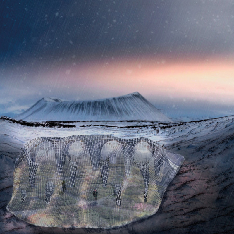 Light Steel Greenhouse Integrated into a Desert Oasis