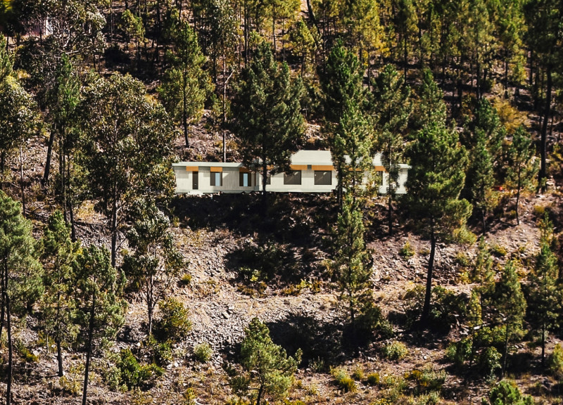 Elevated Stone Foundations with Cork Interiors in a Nature-Integrated Wellness Space