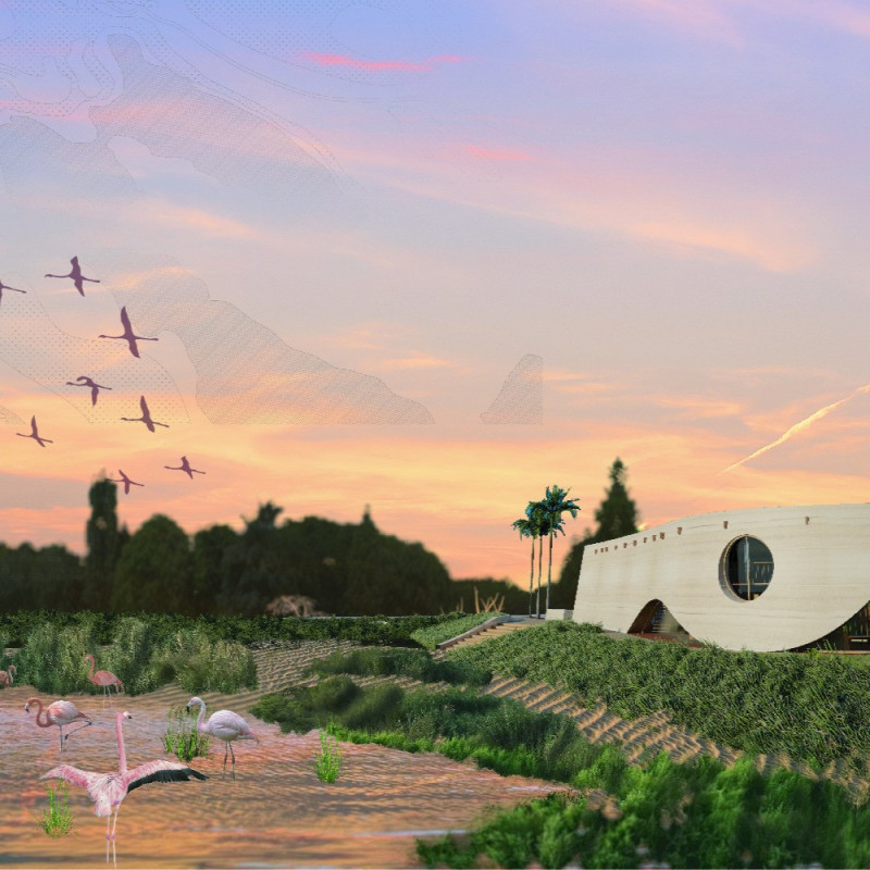 Pond-Centered Pavilion Embracing Wetland Views with Two Curved Walls