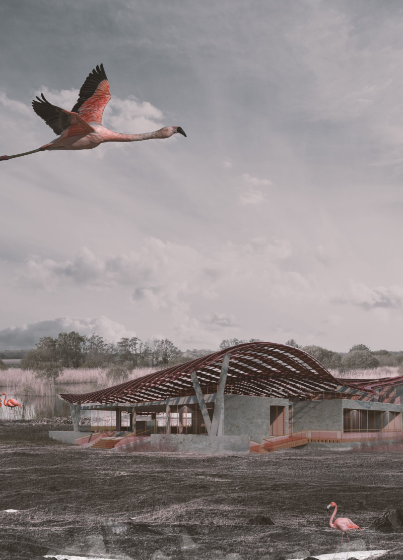 Flamingo-Inspired Oval Structure Integrating Natural Colors and Education