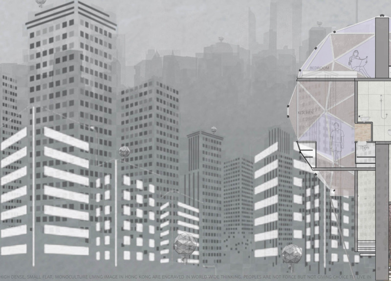 Triangular Panels and Natural Light in a Flexible Modular Living Space